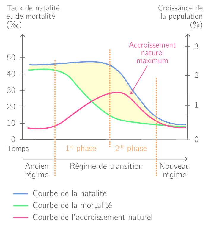 Transition démographique